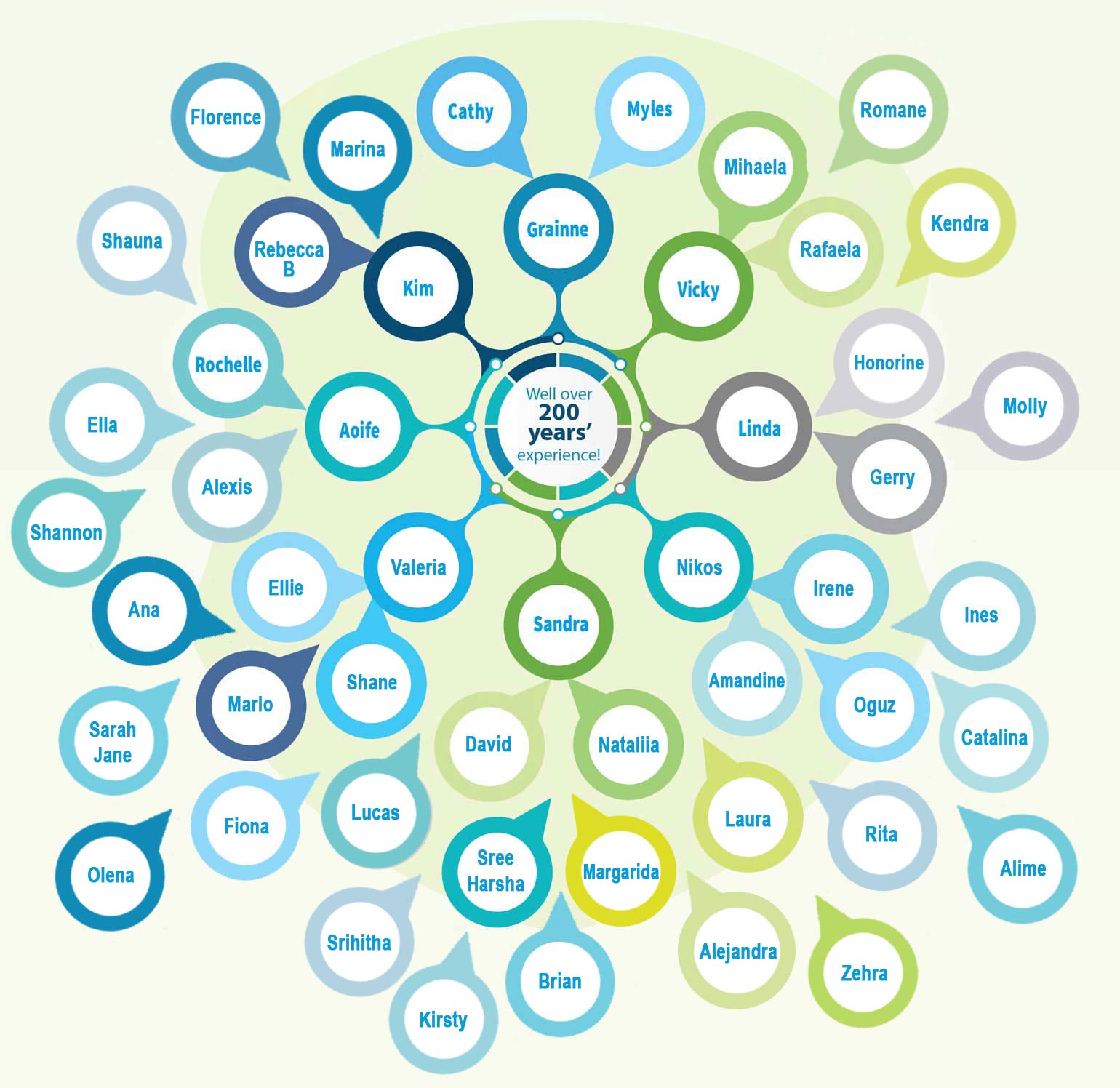 Our Team members graph